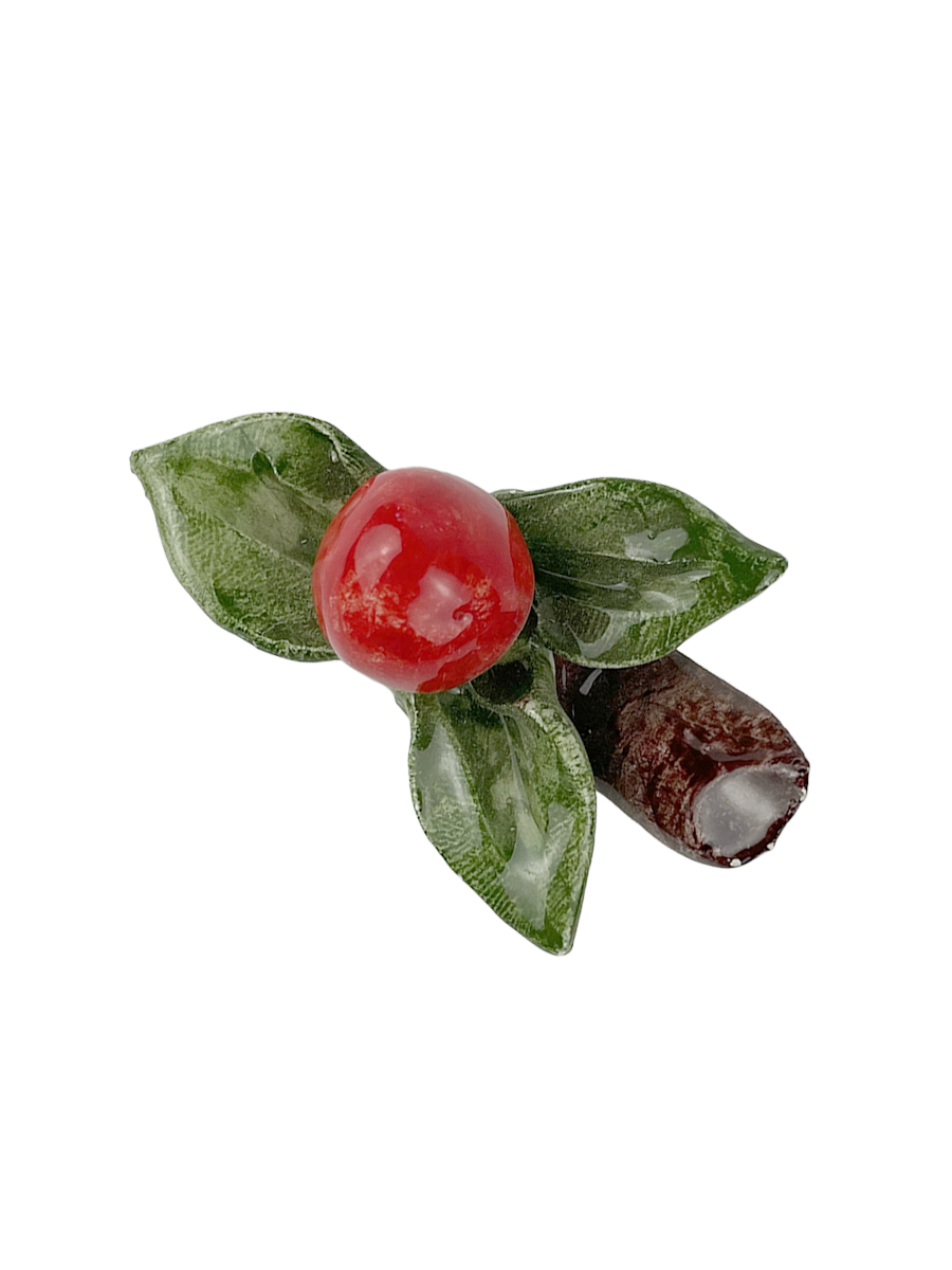 Veggie Magnets