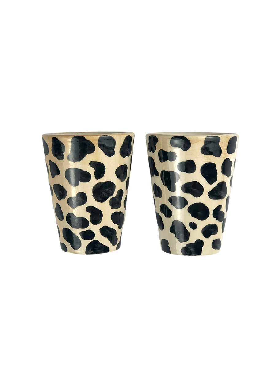 Set of 2 Shot Glasses