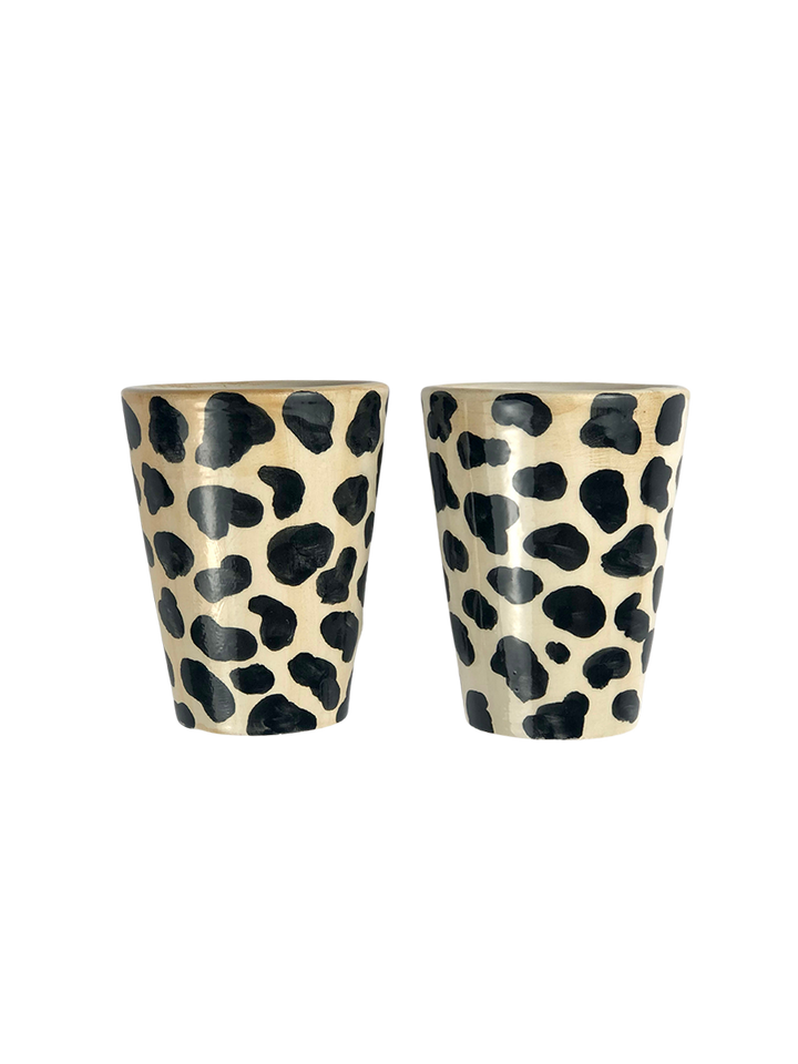 Set of 2 Shot Glasses