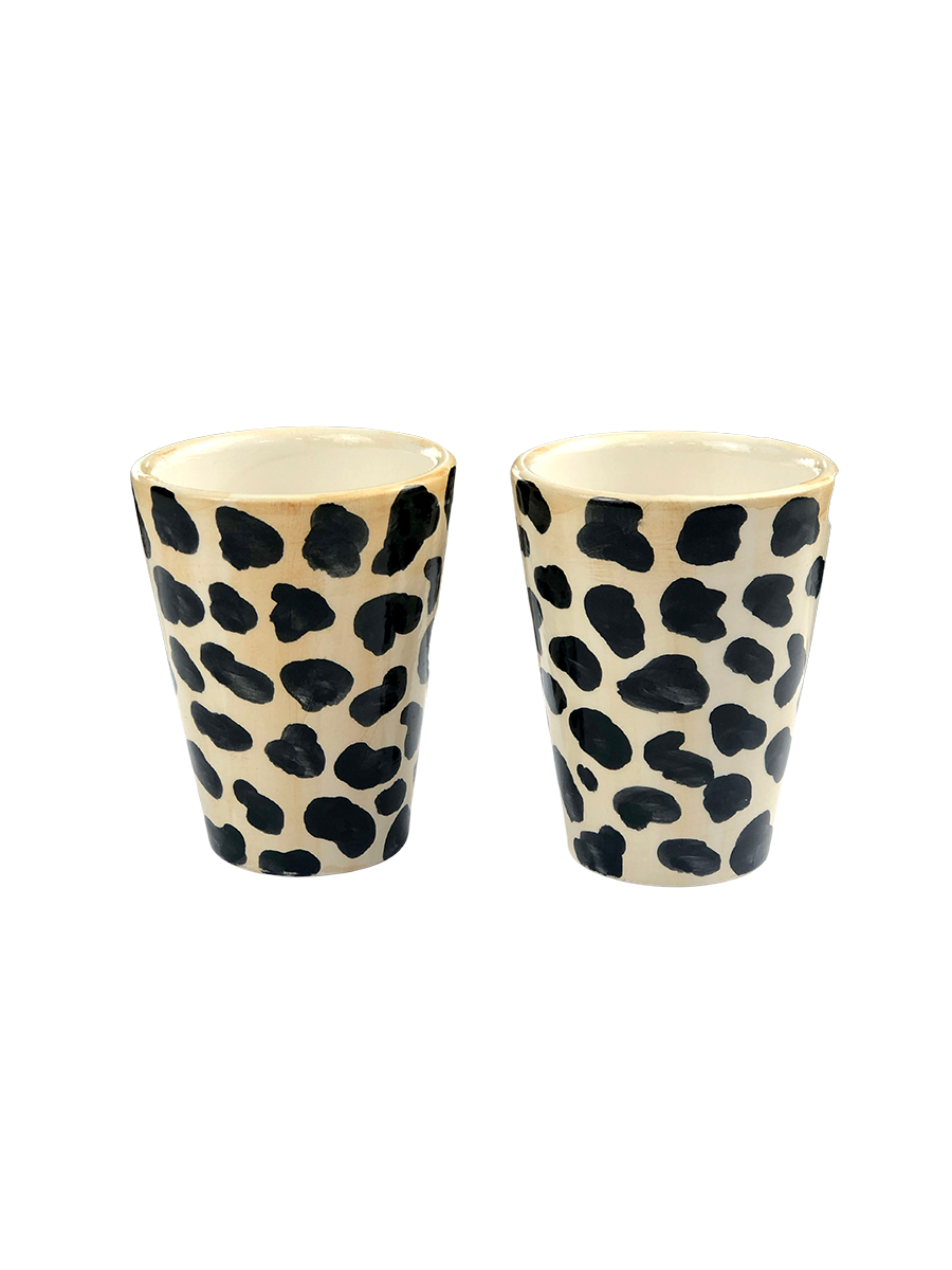 Set of 2 Shot Glasses