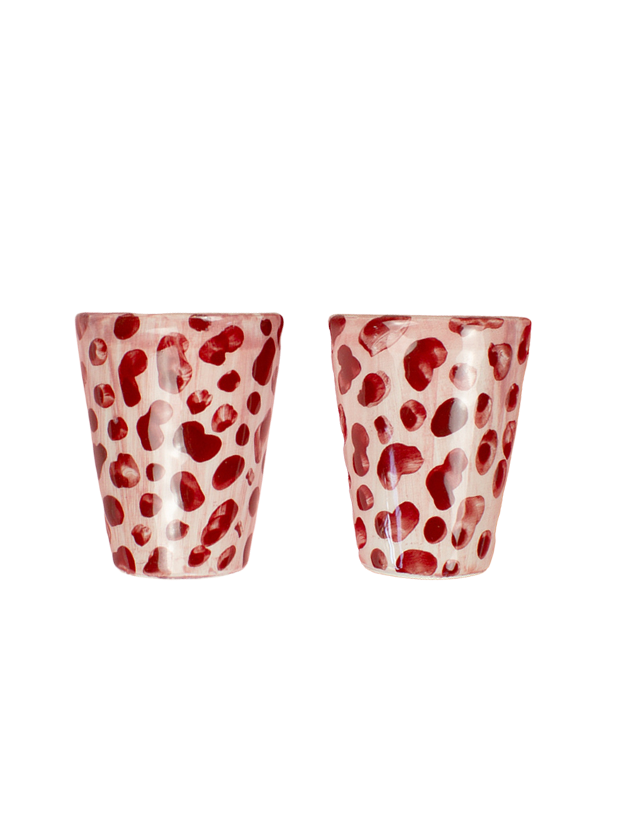 Set of 2 Shot Glasses