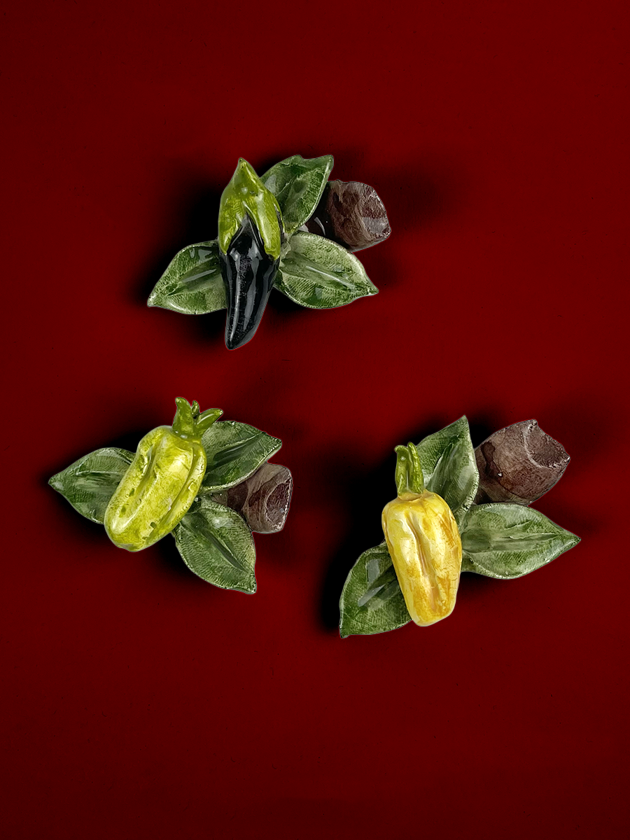 Veggie Magnets