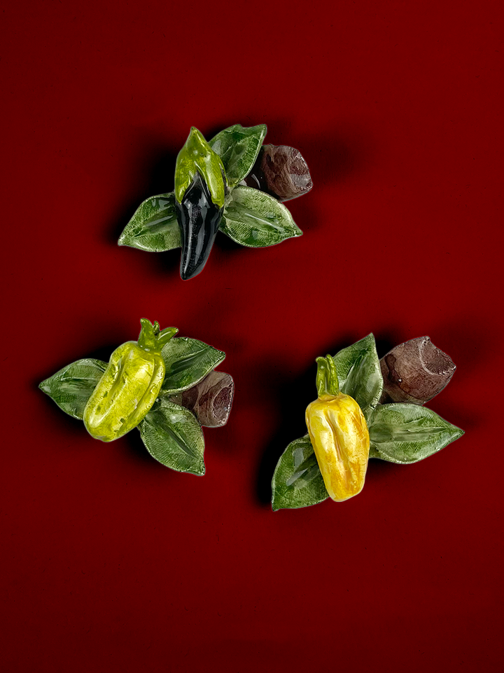 Veggie Magnets