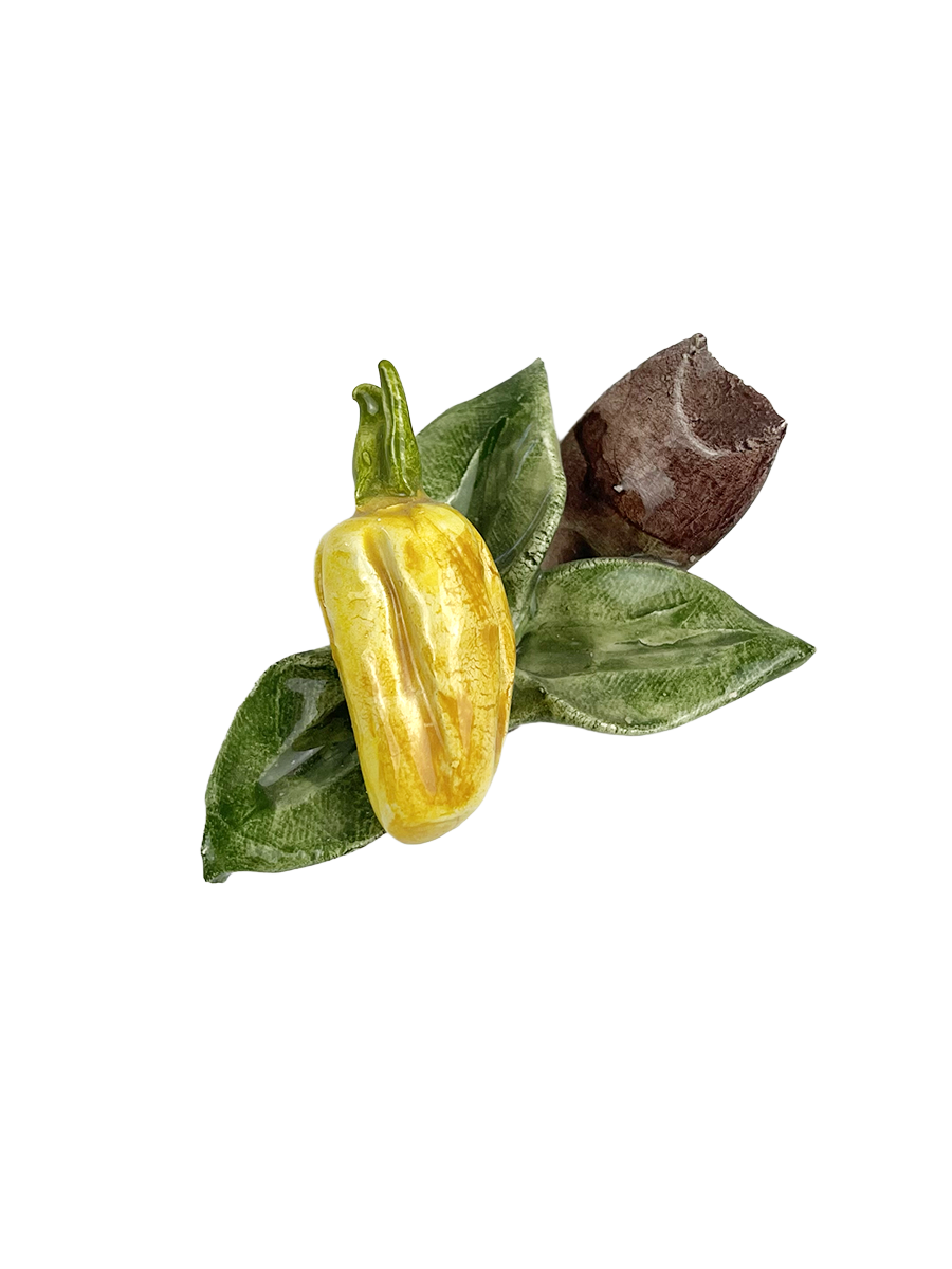 Veggie Magnets