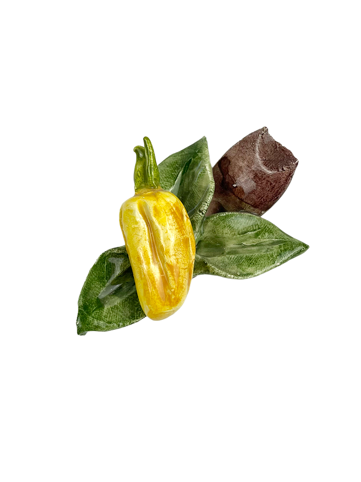 Veggie Magnets