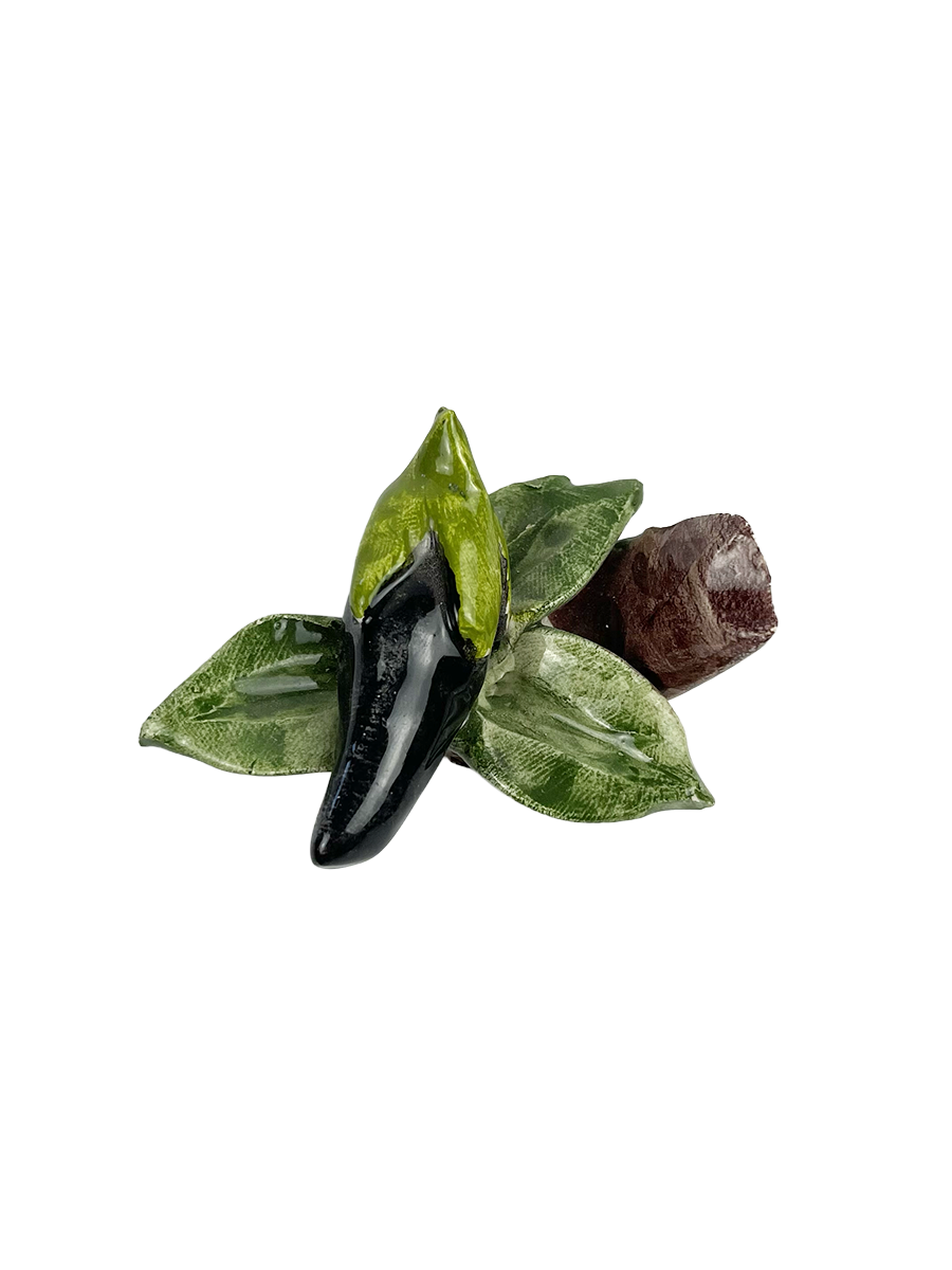 Veggie Magnets